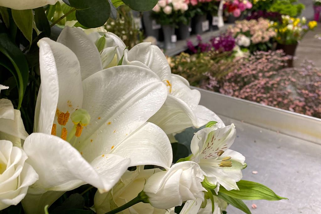 Blumengrohandel in Bochum | Blumen aus aller Welt und der Region
